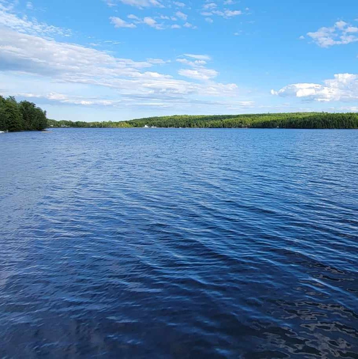 Open lake with treeline